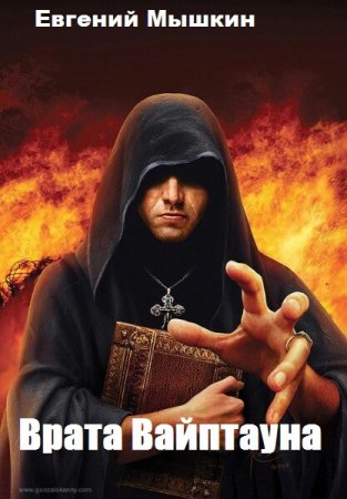 Постер к Врата Вайптауна - Евгений Мышкин