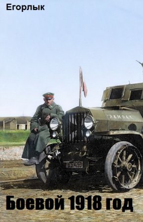 Егорлык. Цикл книг - Боевой 1918 год
