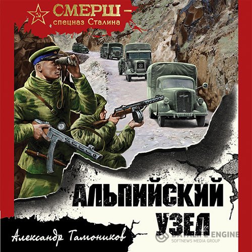 Александр Тамоников - Альпийский узел (Аудиокнига)