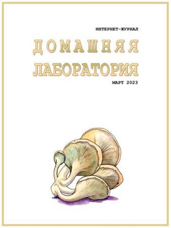 Постер к Домашняя лаборатория №3 (март 2023)