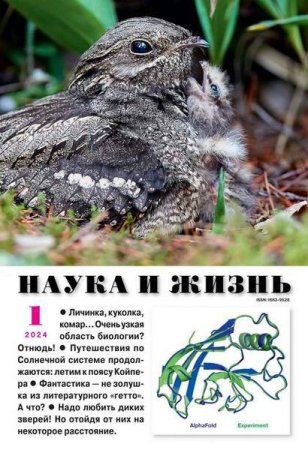 Постер к Наука и жизнь №1 (январь 2024)
